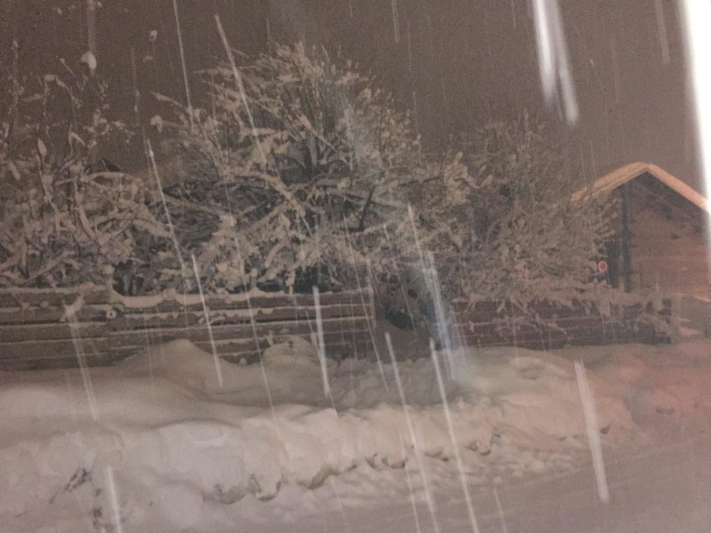 Aperçu en hiver